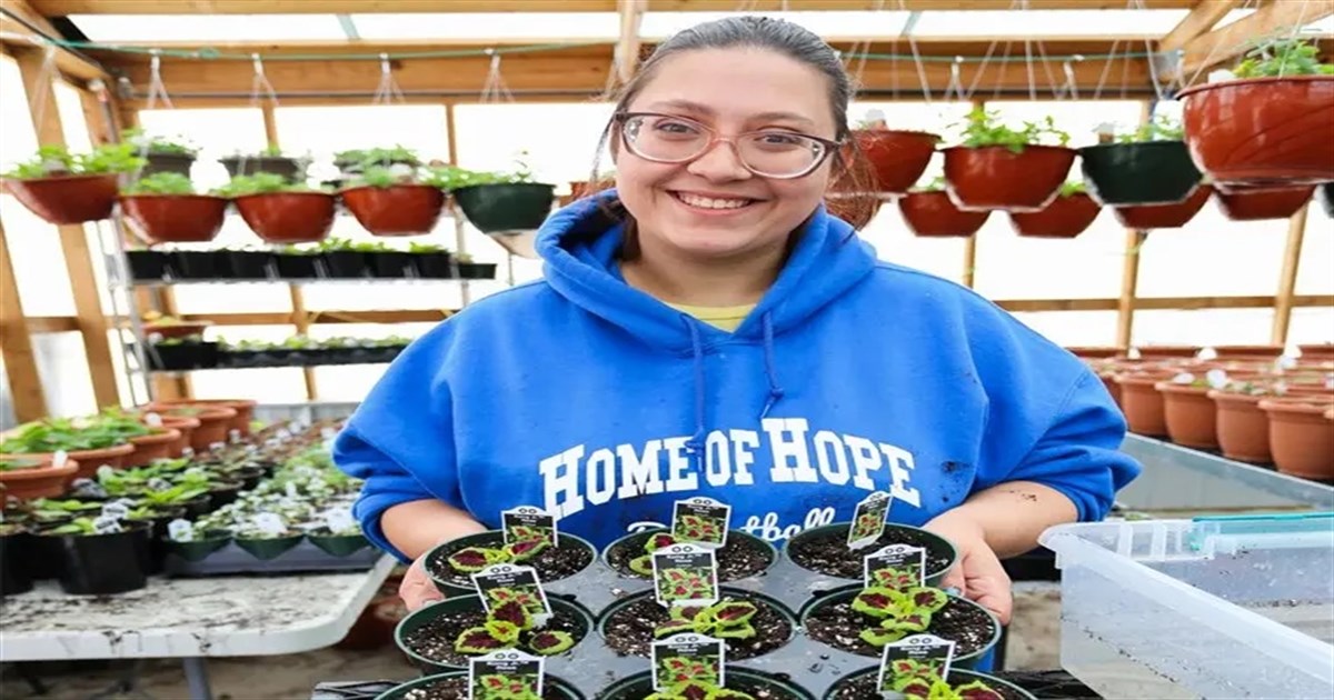 Vocation Lifemap Vocational Life at Home of Hope for People with Disabilities